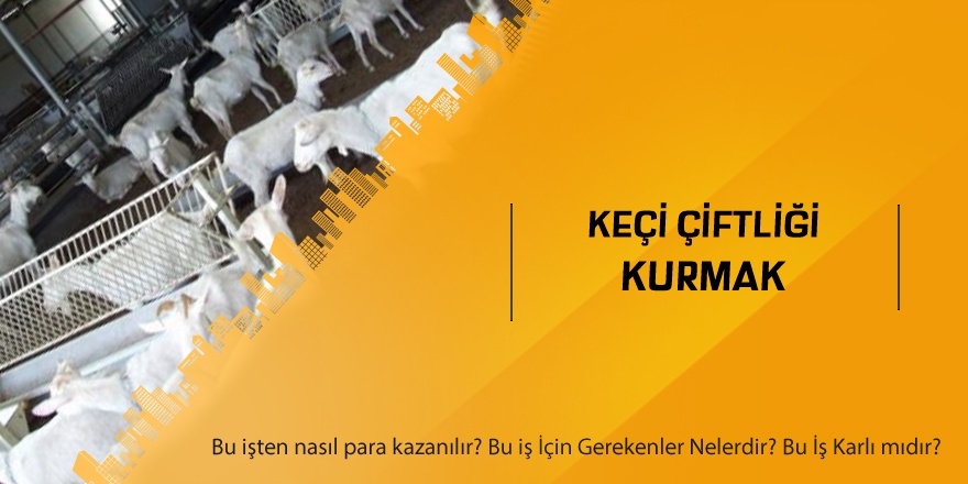 Keçi Çiftliği Kurmak