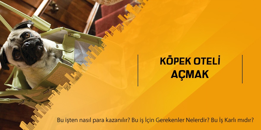 Köpek Oteli Açmak