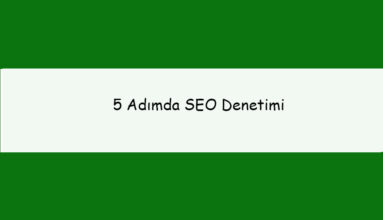 seo denetimi